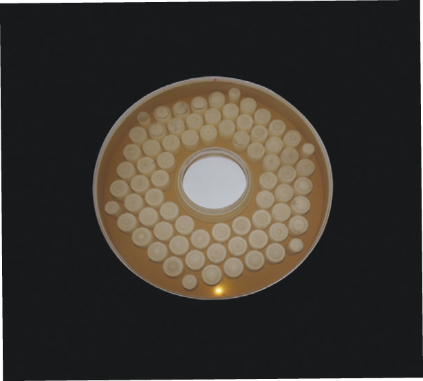 輕量化非球面鏡